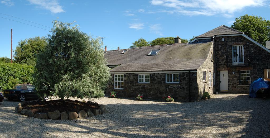 Shola Coach House B&B Coleraine Exterior foto